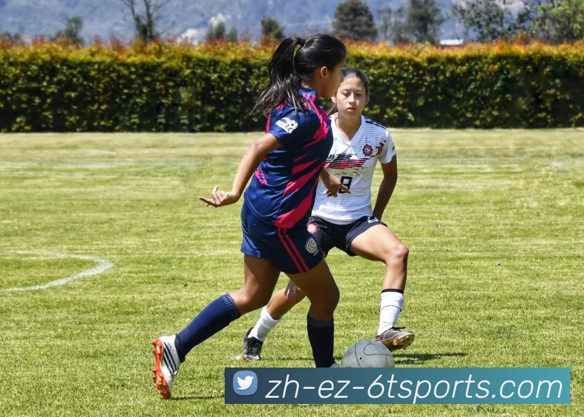 2022年尼克斯战绩提升的背后原因有哪些数据佐证